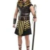 Ancient Pharaoh Adult Costume -Costumes Sales Store adult ancient pharaoh