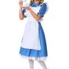 Adult Deluxe Alice Costume