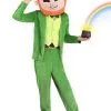 Leprechaun Adult Mascot Costume -Costumes Sales Store adult mascot leprechaun costume