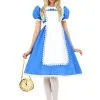 Adult Supreme Alice Costume -Costumes Sales Store adult supreme alice costume