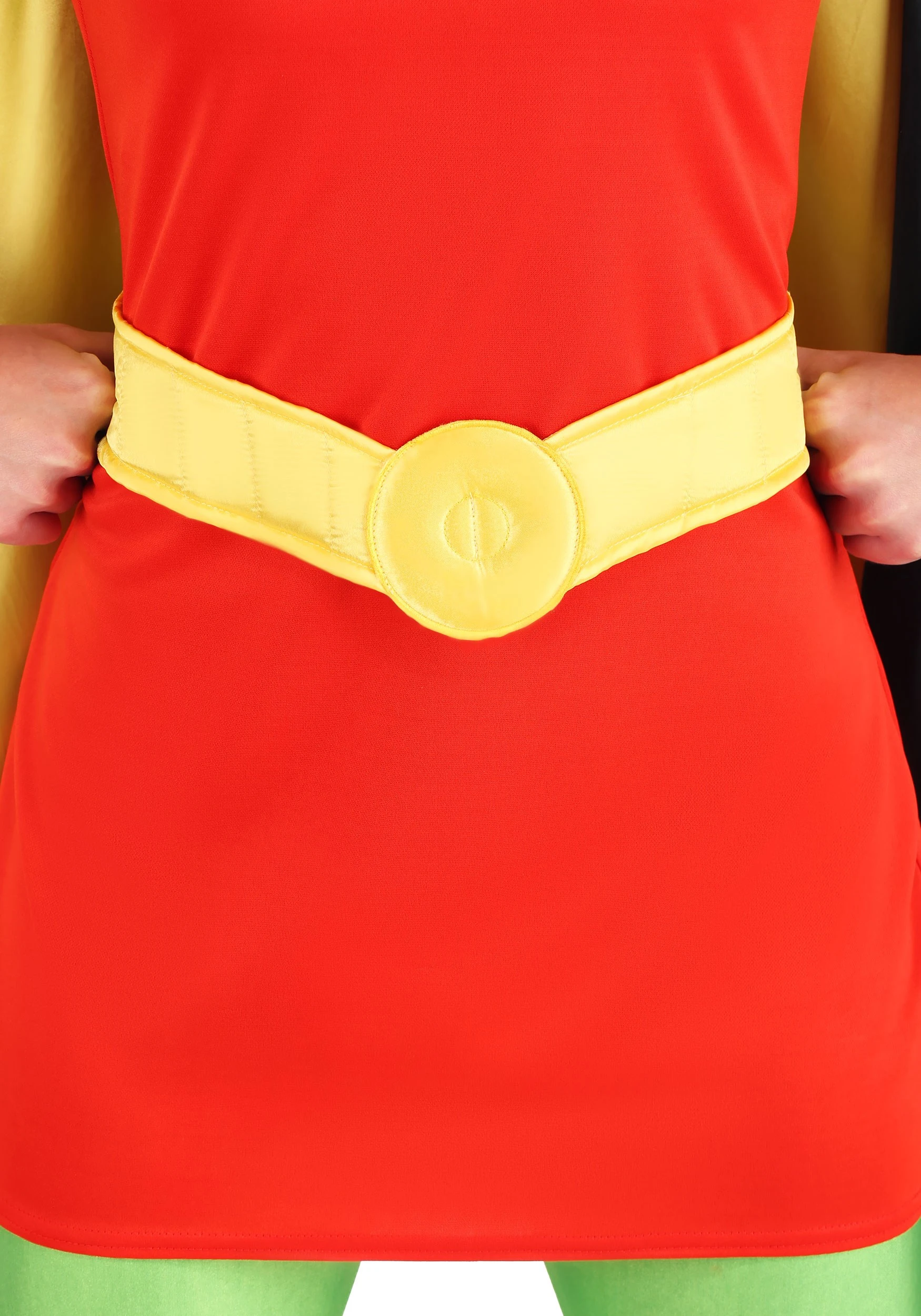 DC Women's Robin Costume 10 DC Women's Robin Costume - Image 8
