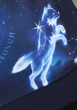 Harry Potter Patronus Ugly Sweatshirt For Adults -Costumes Sales Store harry potter patronus ugly sweatshirt alt 9