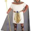 Plus Size King Tut Costume For Men -Costumes Sales Store plus size king tut costume