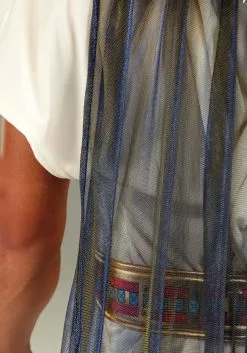 Plus Size King Tut Costume For Men -Costumes Sales Store plus size king tut costume alt 5