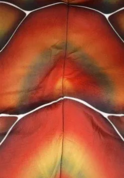 Plus Size Sea Turtle Costume For Adults 15 Plus Size Sea Turtle Costume For Adults -Costumes Sales Store plus size sea turtle costume alt 6