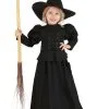 Girl's Wizard Of Oz Toddler Wicked Witch Costume -Costumes Sales Store wizard of oz toddler wicked witch costume
